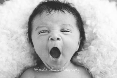 Studio Eleven Photography