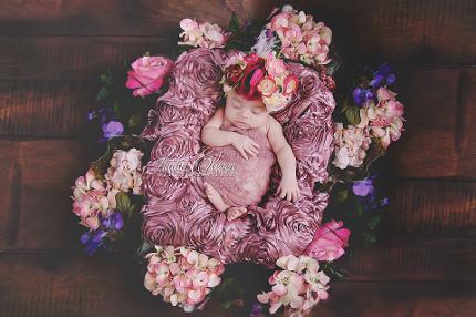 Studio Eleven Photography